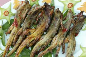 Đặc điểm chung về Dông: