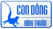 dông bình thuận